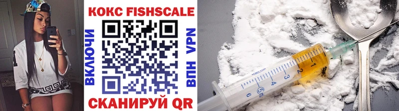 Cocaine FishScale  магазин продажи   shop как зайти  Знаменск 